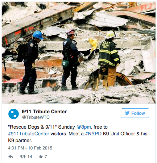 rescue dogs WTC